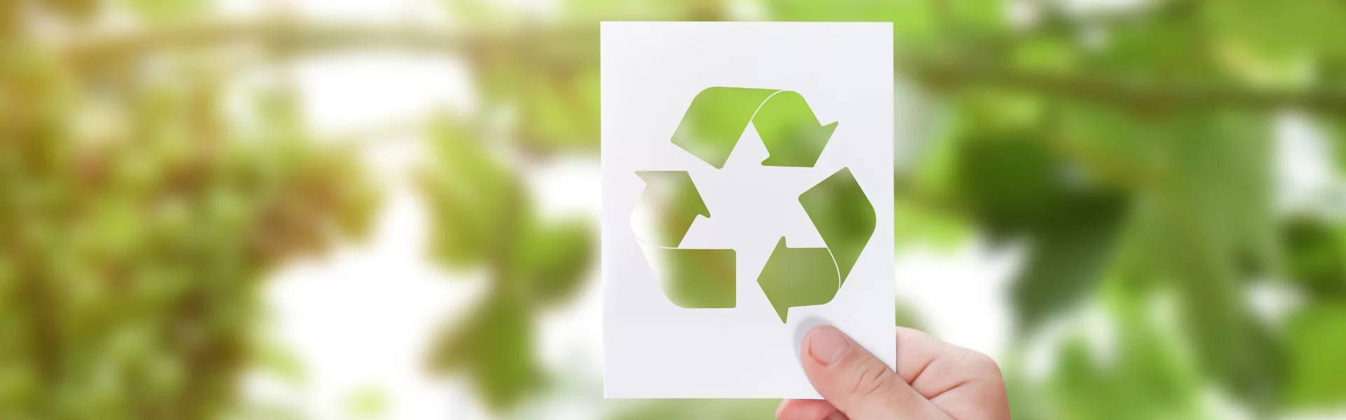 Fond recyclage1