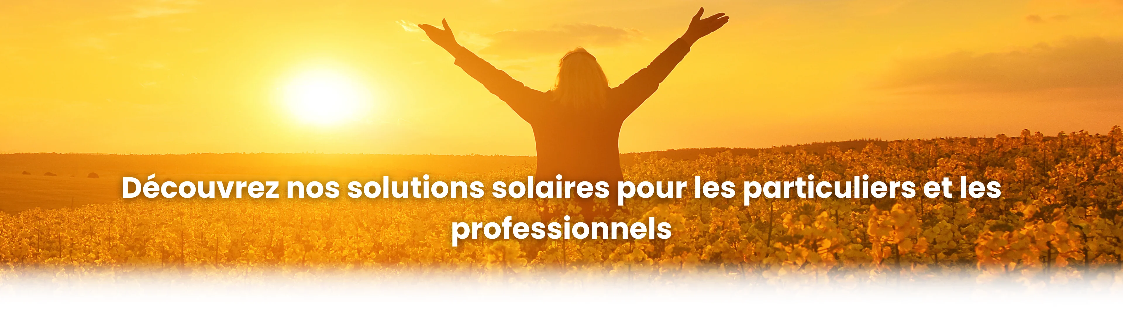 Fond Accueil Solargie