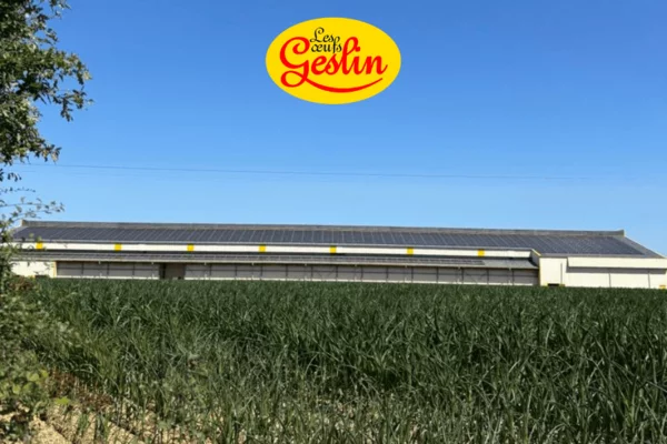 panneaux solaires entreprise 9
